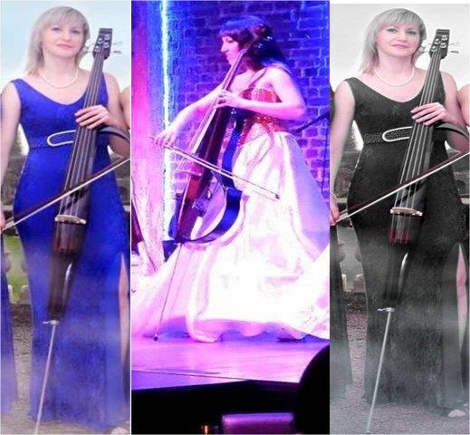 cello artists nashik