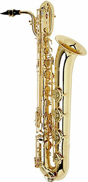 good saxophone on rent nashik