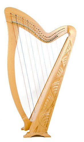 best harp on rent nashik